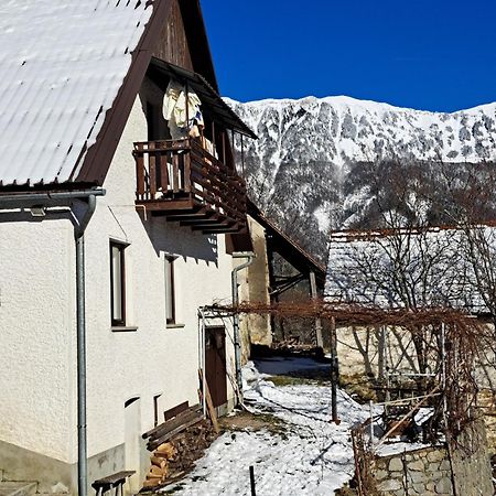 Hikers Hut Hisar Apartment Podbrdo Exterior photo