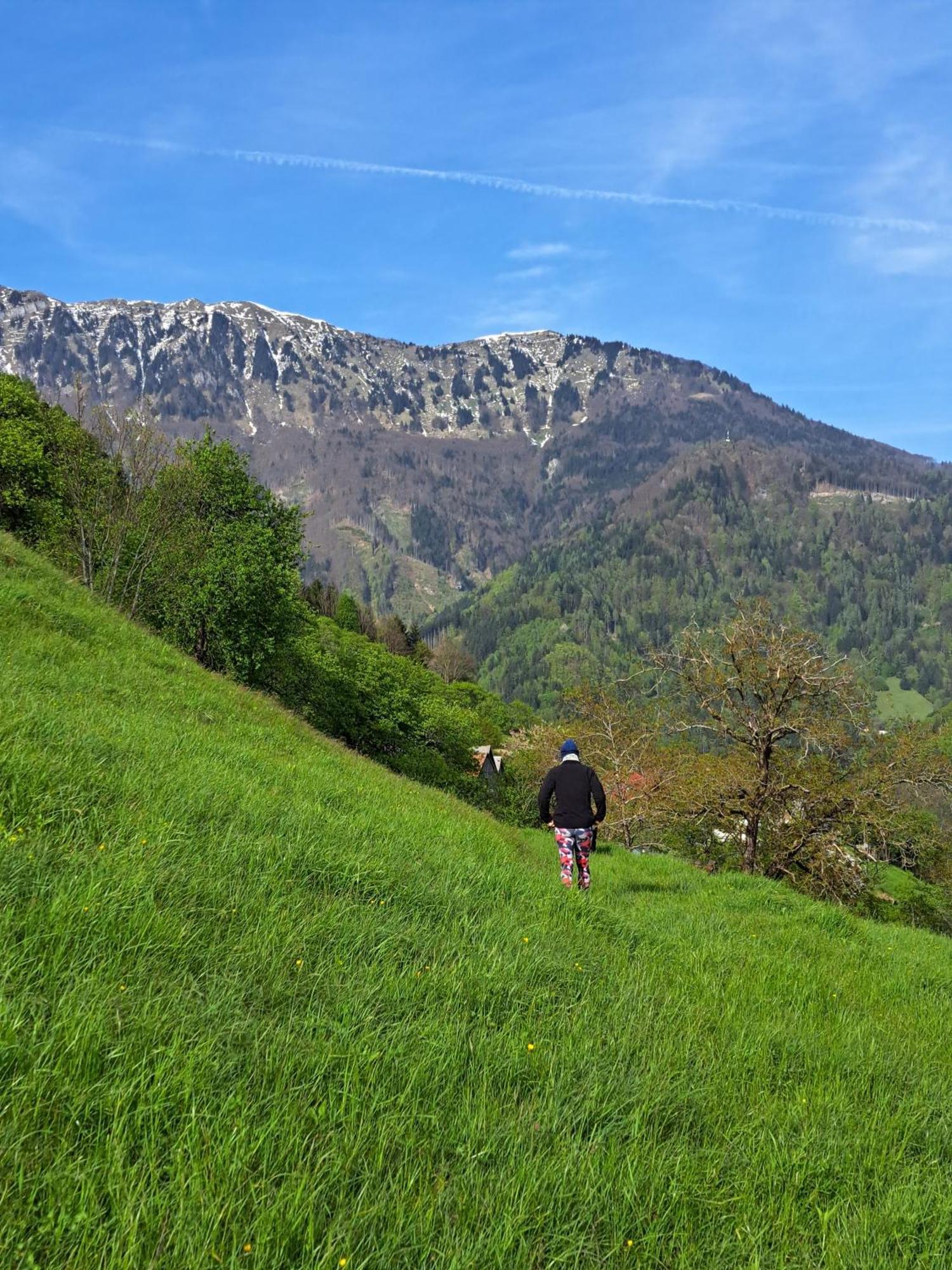 Hikers Hut Hisar Apartment Podbrdo Exterior photo